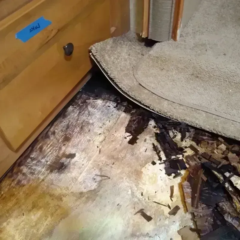 Wood Floor Water Damage in Patterson, LA